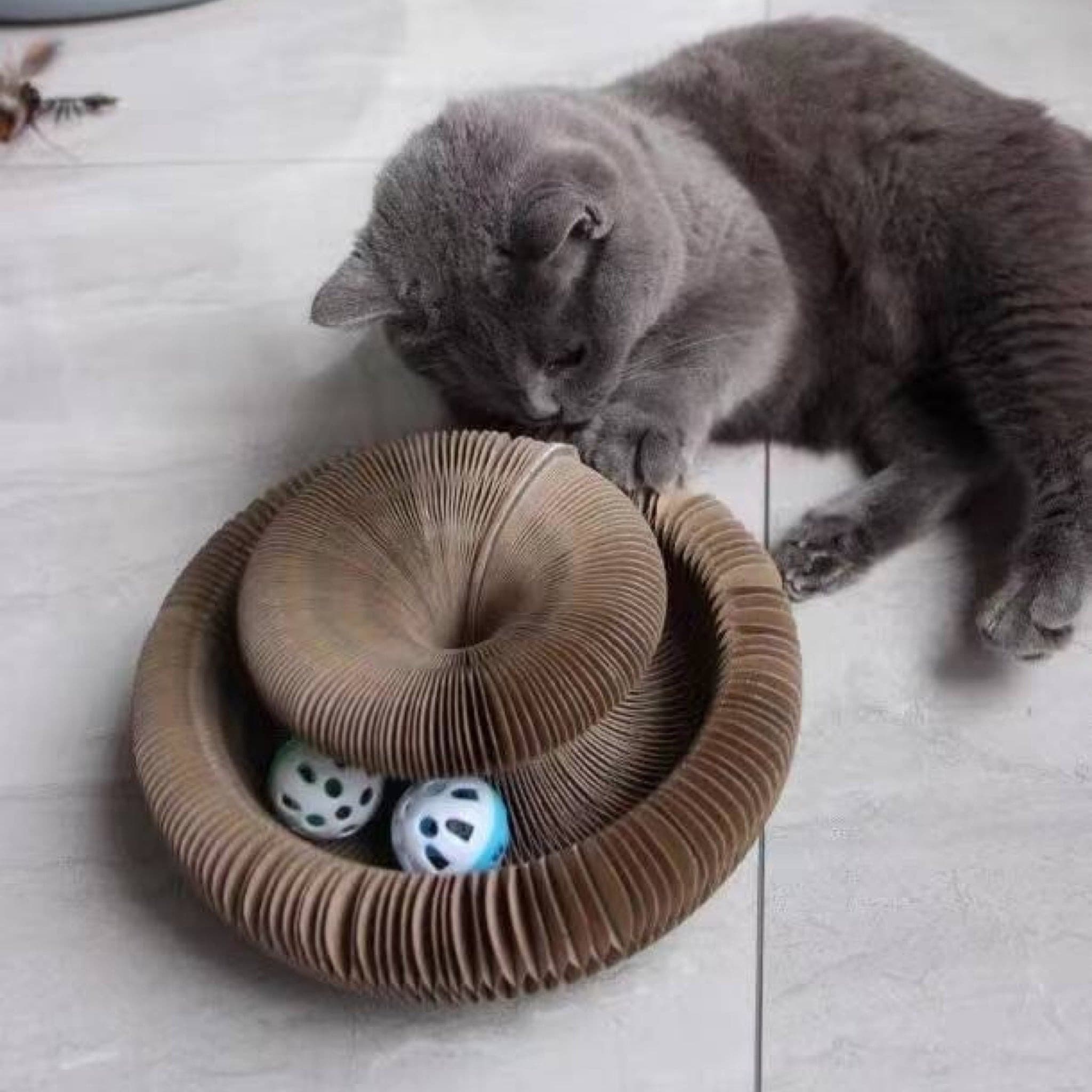 Magic Cat Scratching Toy