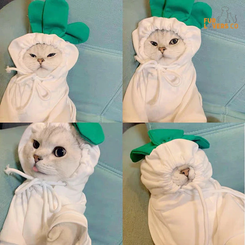 Purrfect Pet Hoodies